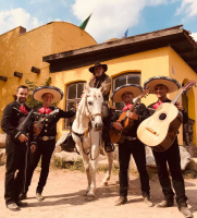 band cover