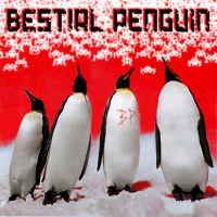 band cover
